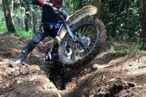 Foto: Divulgação MPF\ Canva