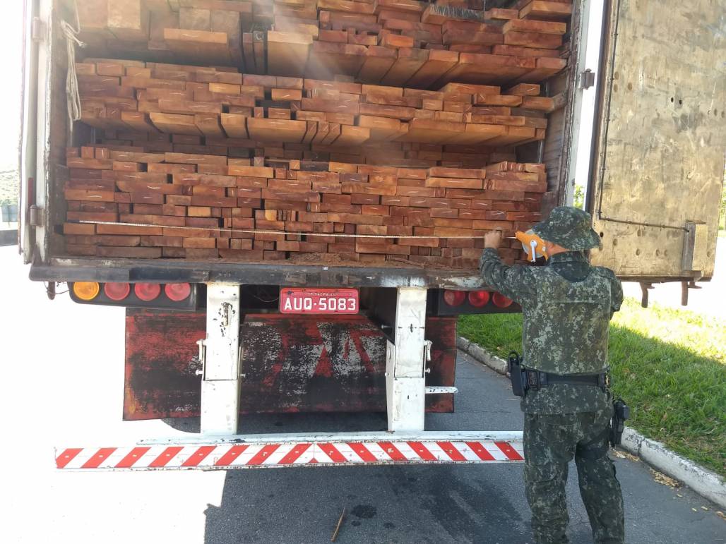 Lavrinhas: policiais flagram transporte ilegal de madeira vinda de Roraima  - Meon