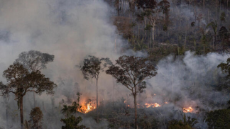 Amazônia