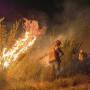 Fogo queima 200 hectares do Parque Nacional do Itatiaia