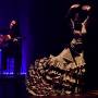 Festival de Dança flamenca é atração em SJC