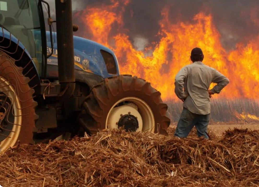 Estado de SP entra em emergência para incêndios