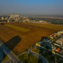 Vem aí a última colheita no terreno das vaquinhas antes das obras 