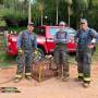 Bombeiros capturam jacaré em Monteiro Lobato