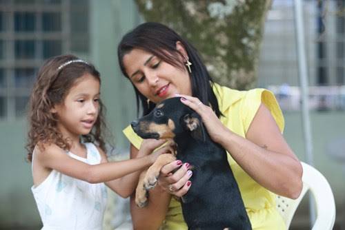 Feira de Adoção de pets em São José 