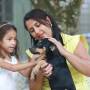 Feira de Adoção de pets em São José 