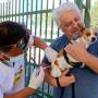 Jacareí realiza vacinação antirrábica, neste domingo (16)