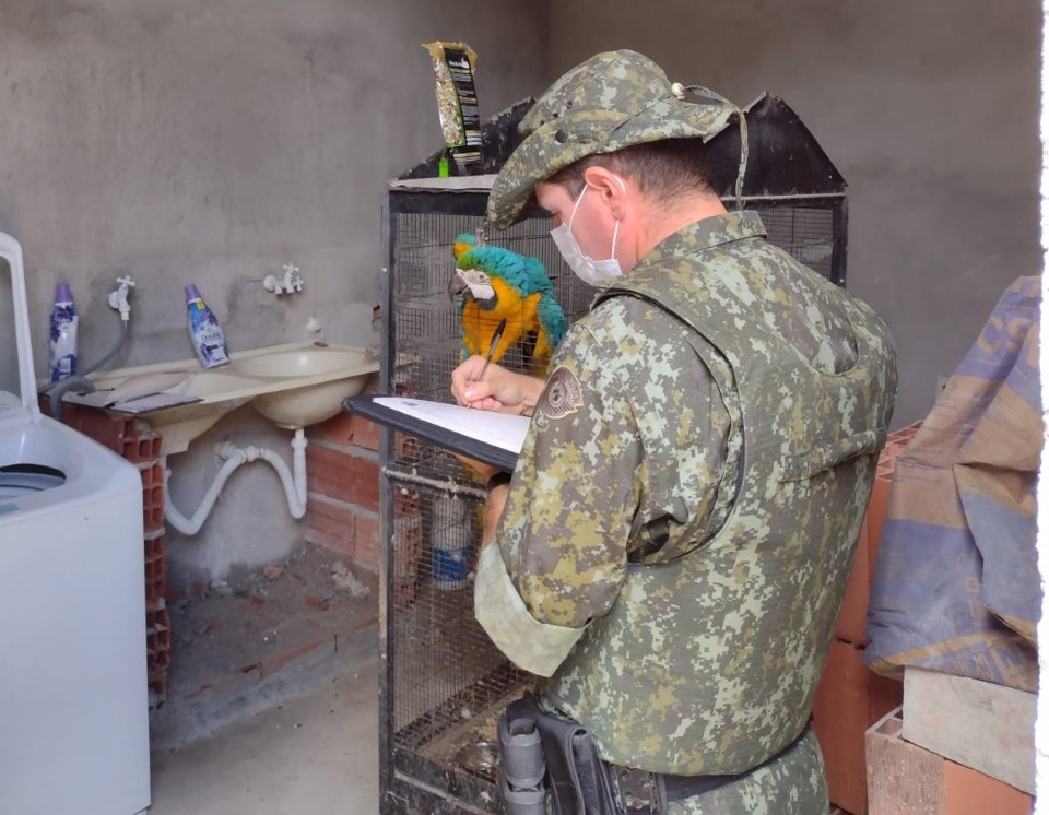 Polícia Militar Ambiental